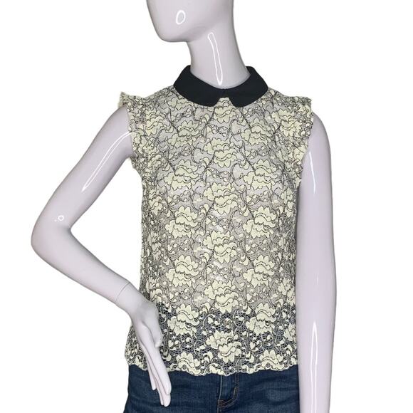 Zara Woman Lace Top Peter Pan Neck Short Sleeve Black and Cream Size M - Picture 1 of 11